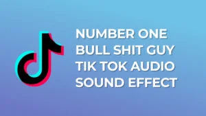 Number one bull shit guy Tik Tok Audio Sound Effect