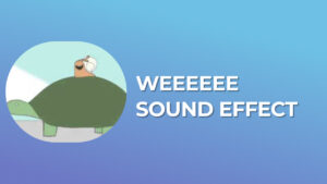 Weeeeee sound effect