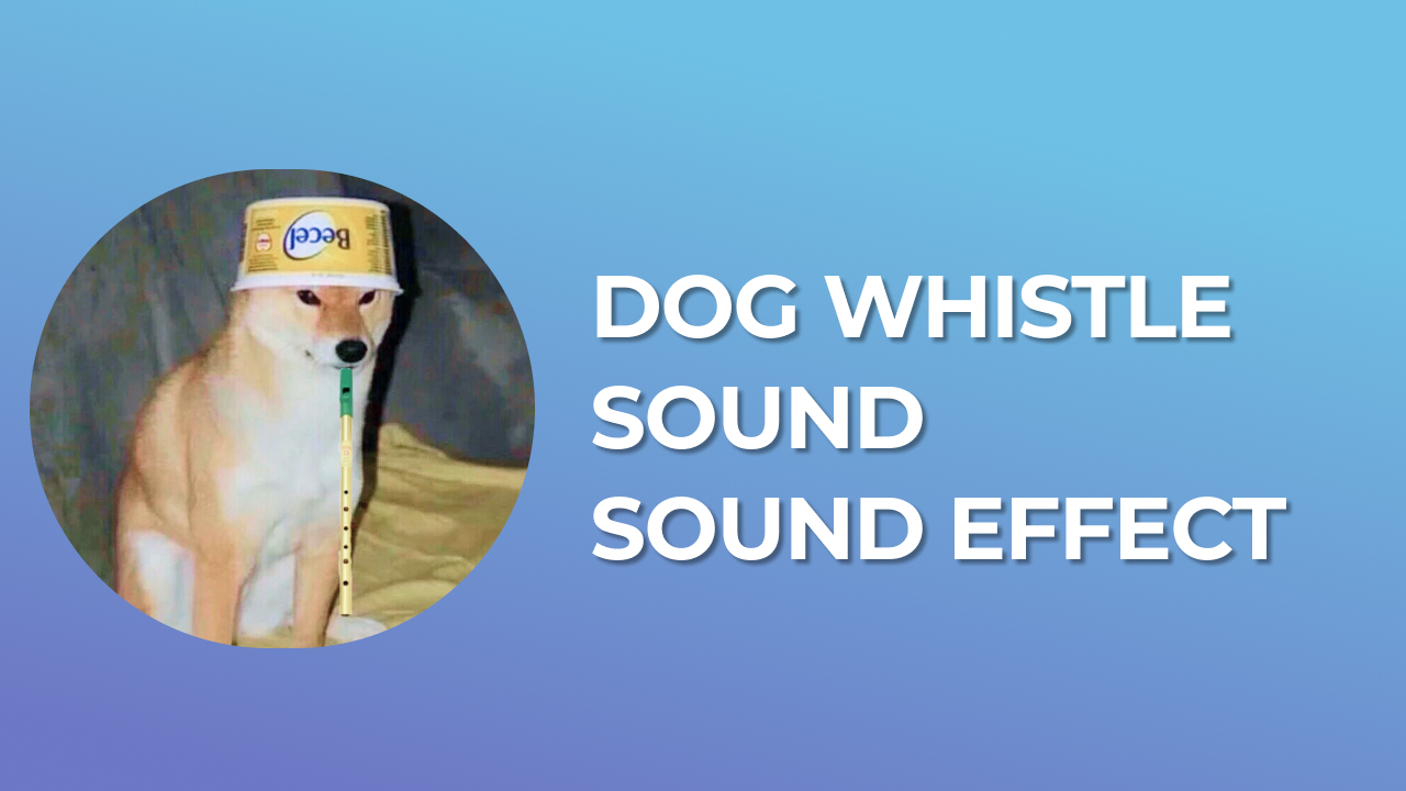 Dog Whistle Sound Sound Effect - Free MP3 Download