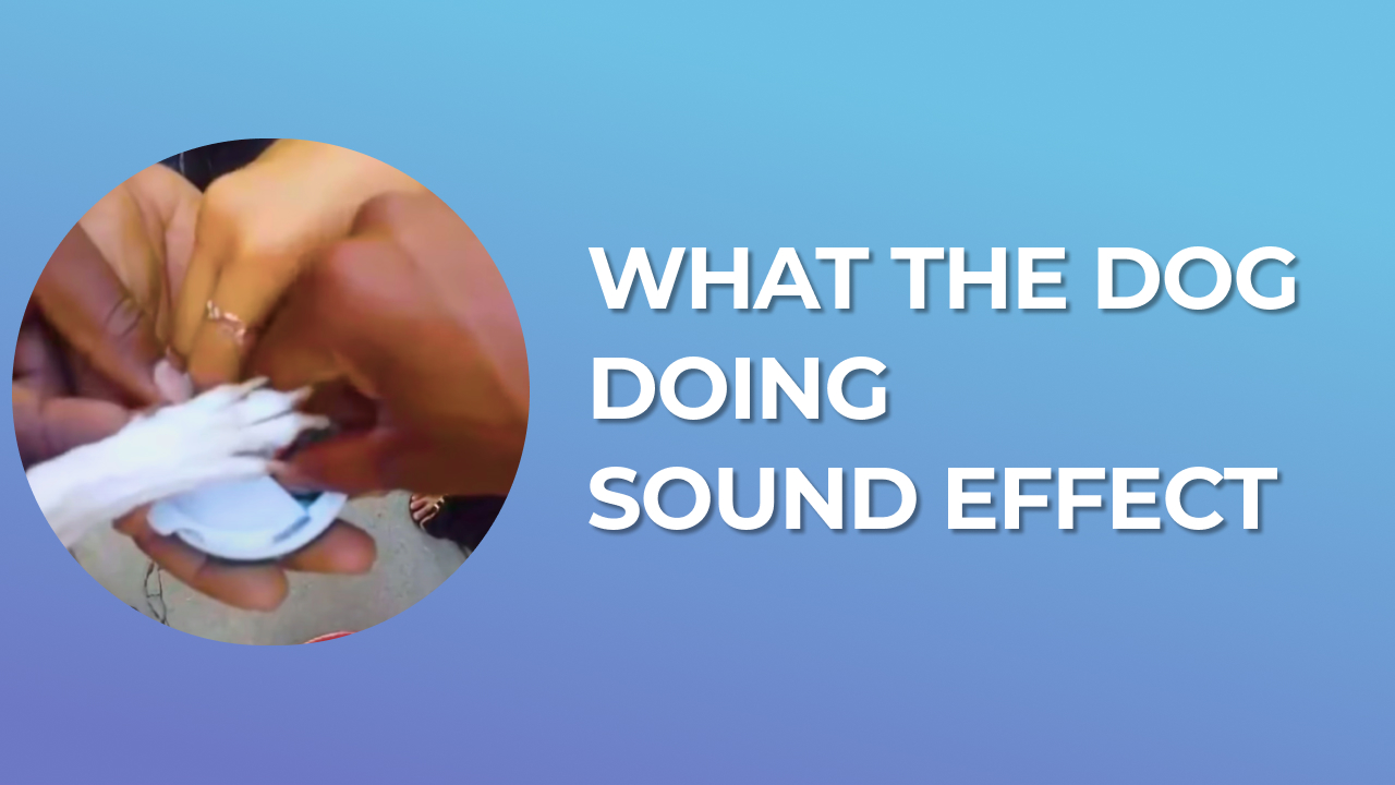 What the dog doing Sound Effect - Free MP3 Download
