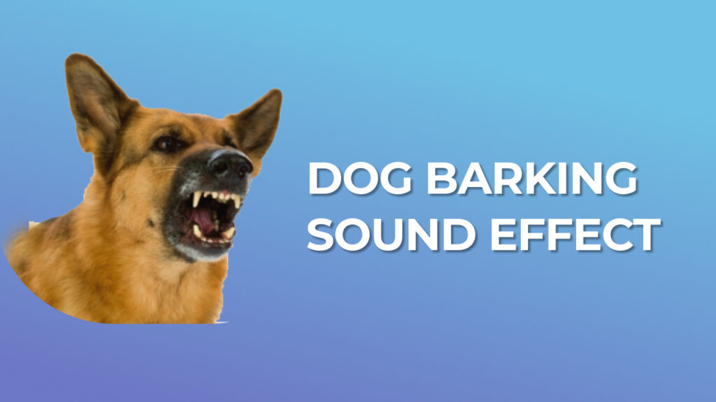Sound Effects Dog Barking Free Download