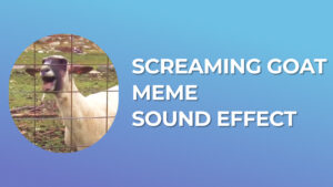 Screaming Goat Meme Sound Effect download for free mp3