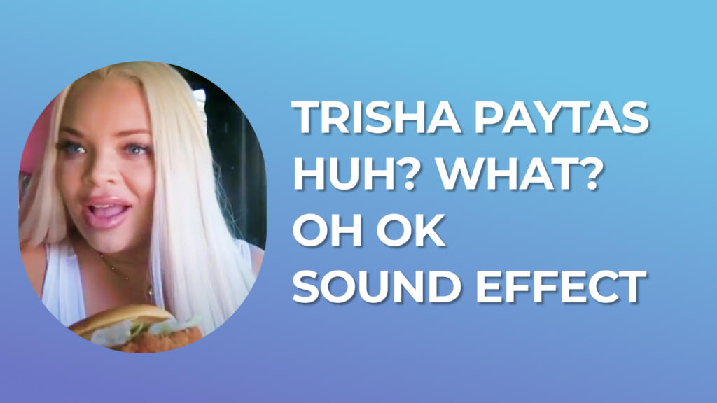 Trisha Paytas Huh? What? Oh OK Sound Effect download for free mp3