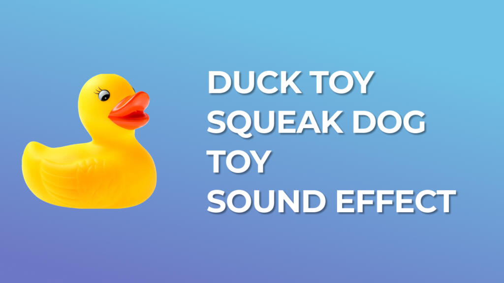 Duck Toy Squeak Sound Effect download for free mp3