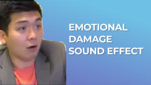 Emotional Damage Sound Effect