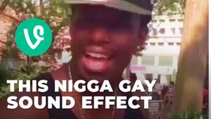 This Nigga Gay Sound Effect download for free mp3