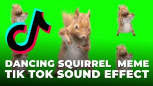 Dancing Squirrel Meme Sound Effect download for free mp3