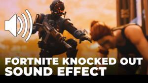 Fortnite Knocked Out Sound Effect