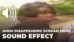 Ahhh Disappearing Scream Meme Sound Effect