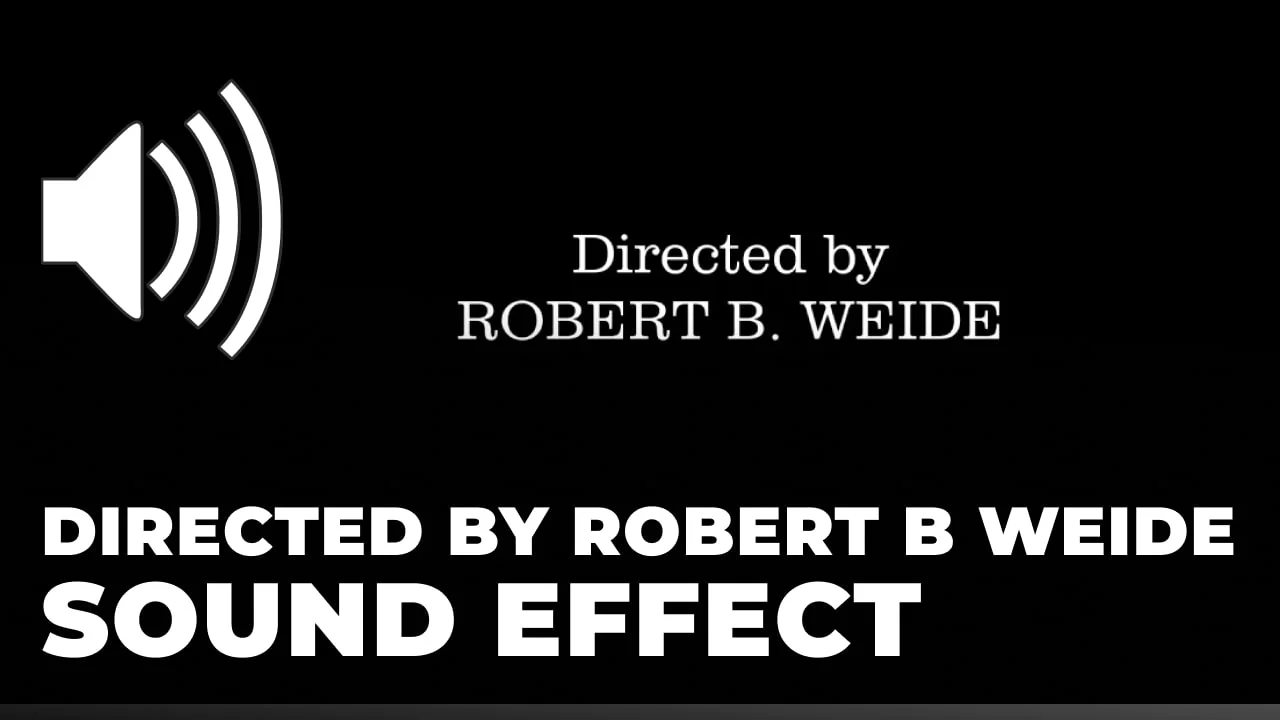 Directed by Robert B Weide Sound Effect