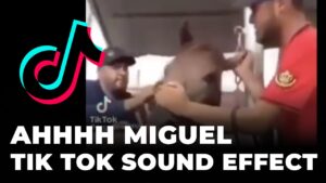 ahhhh miguel Tik Tok Sound Effect