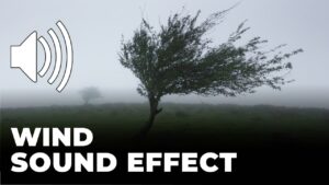 Wind Sound Effect download for free mp3