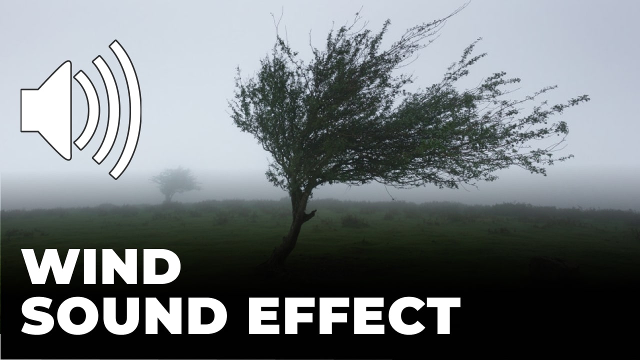 Download Free Wind Sound Effects