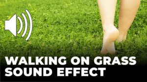 Walking on Grass Sound Effect download for free mp3