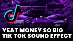 Yeat Money So Big Tik Tok Sound Effect