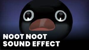 Noot Noot Meme Sound Effect