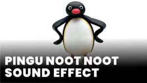 Pingu Noot Noot Sound Effect