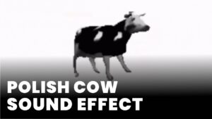 Polish Cow Sound Effect
