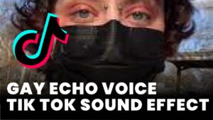 Gay Echo Voice TikTok Sound Effect