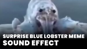 Surprise Blue Lobster Meme Sound Effect