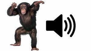 Monkey scream chimpanzee sound download