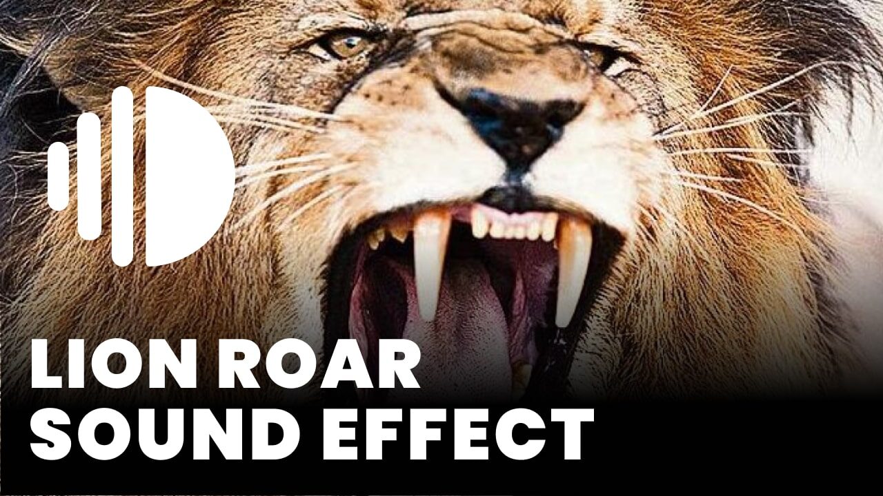 Lion Roar Sound - Free Online MP3 Download